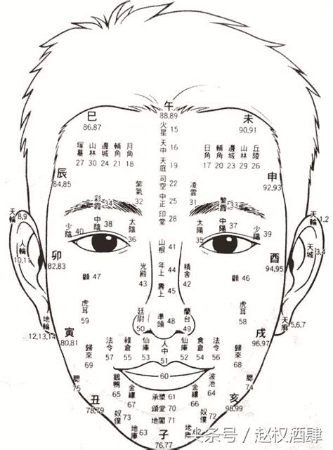 面相年齡 將軍箭查詢